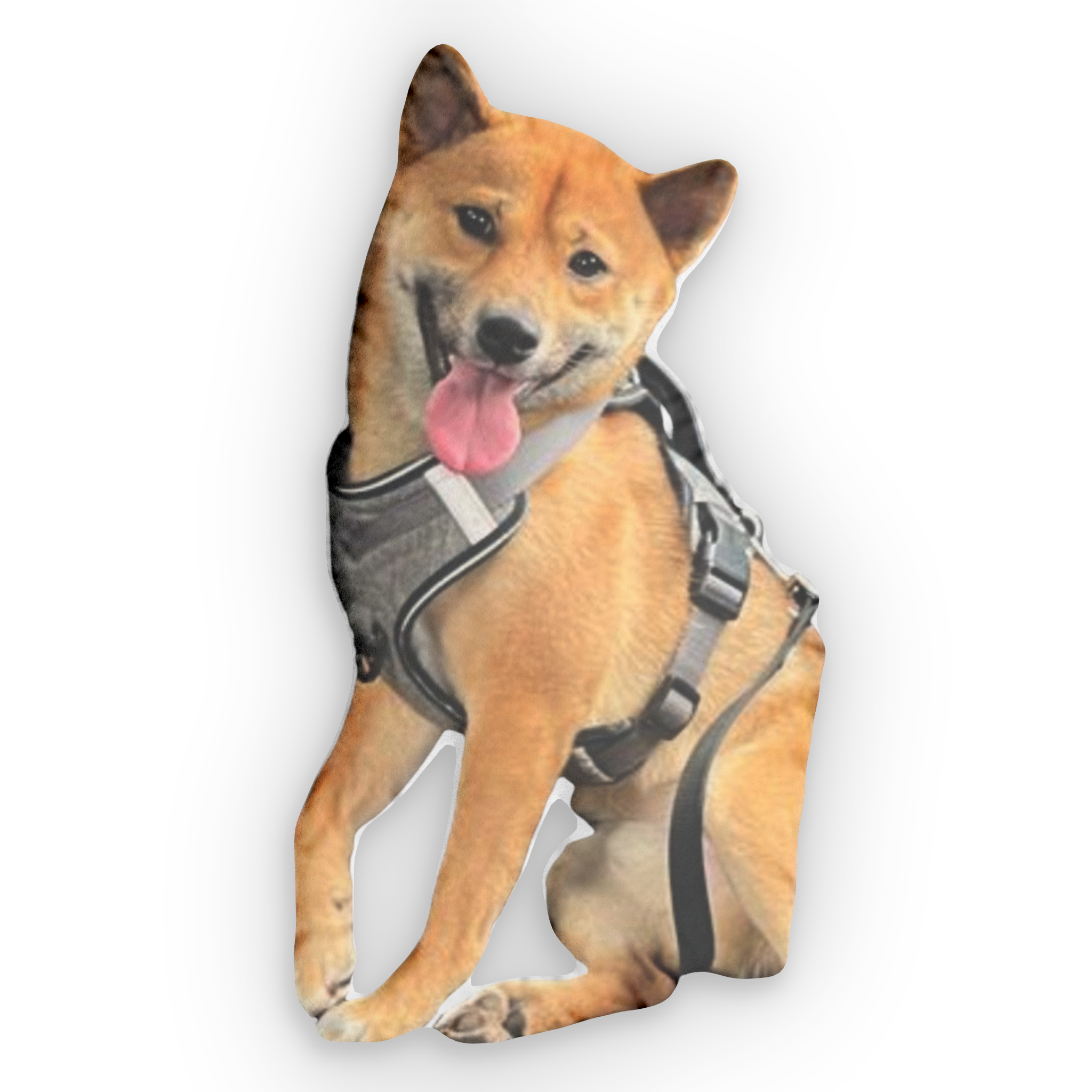 Gepersonaliseerd Huisdier Kussen