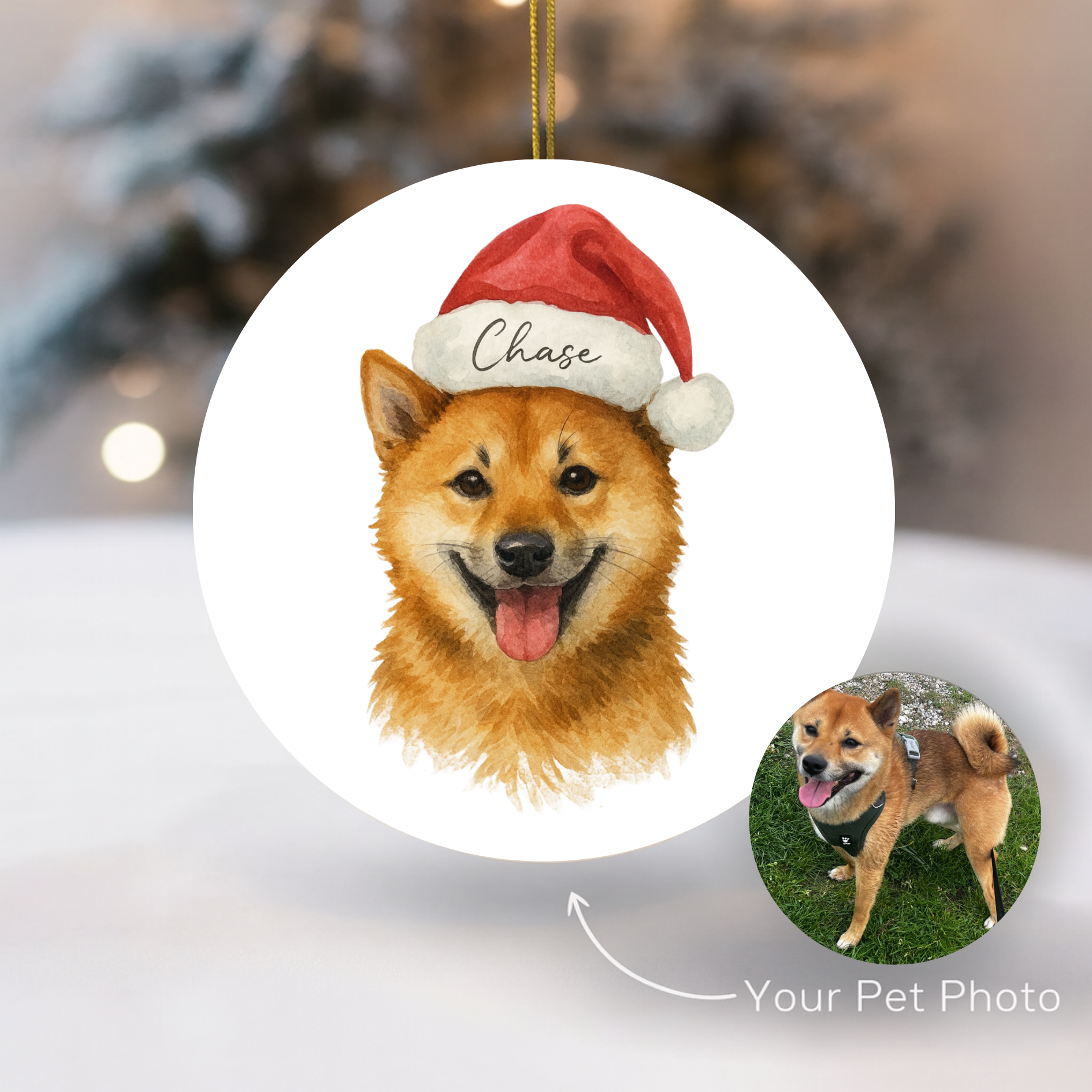 Kerst ornament met huisdier cartoon