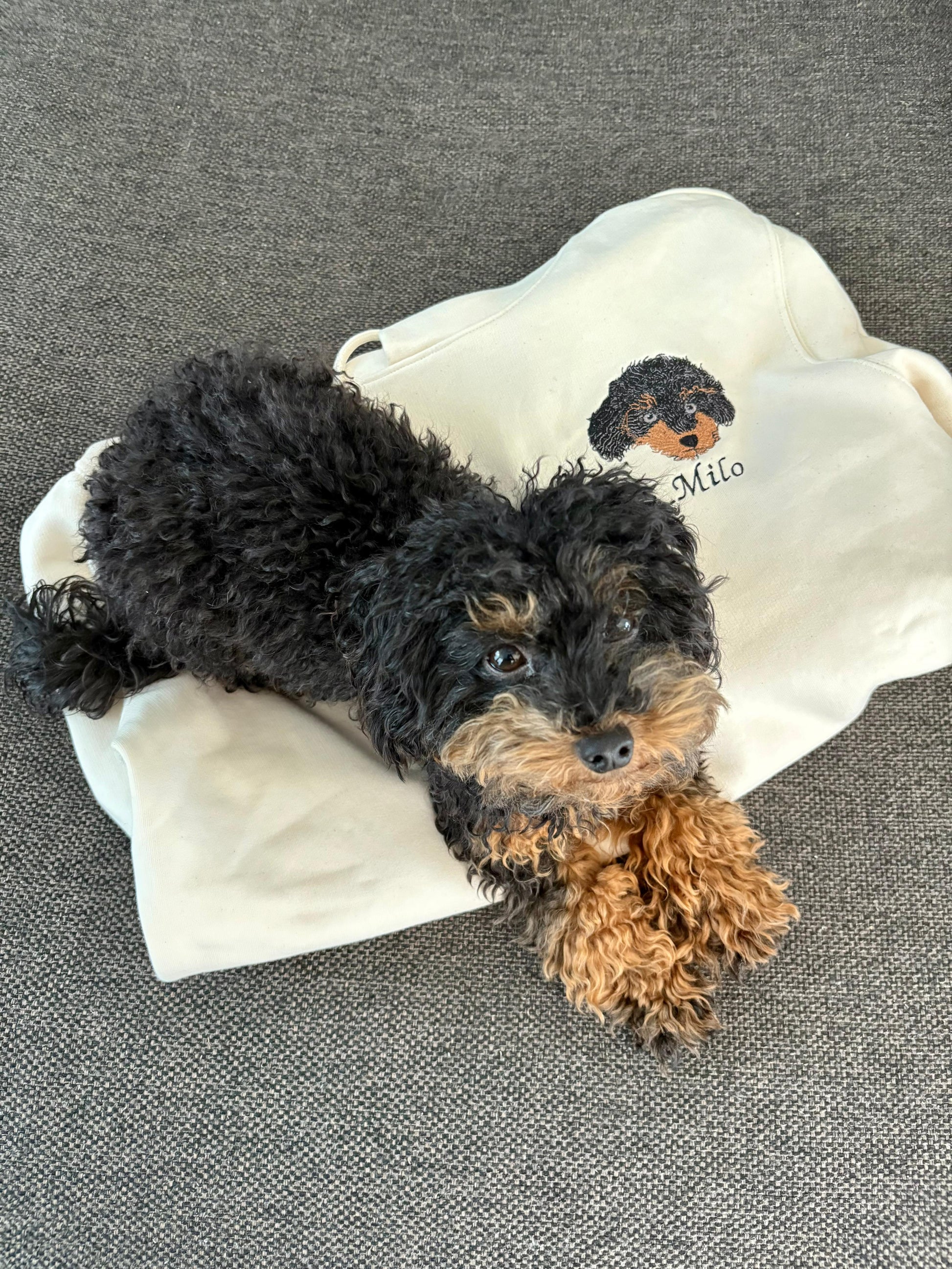 HOODIE MET HUISDIER BORST BORDURING